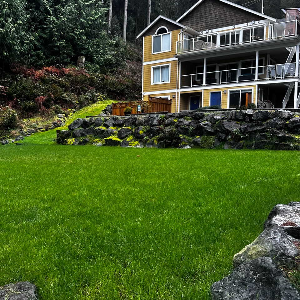 One Year After Hydroseeding