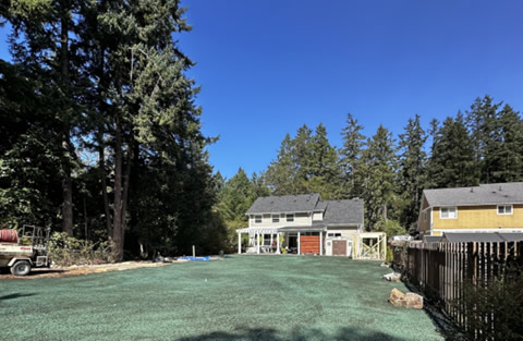 Freshly applied hydroseeding mixture